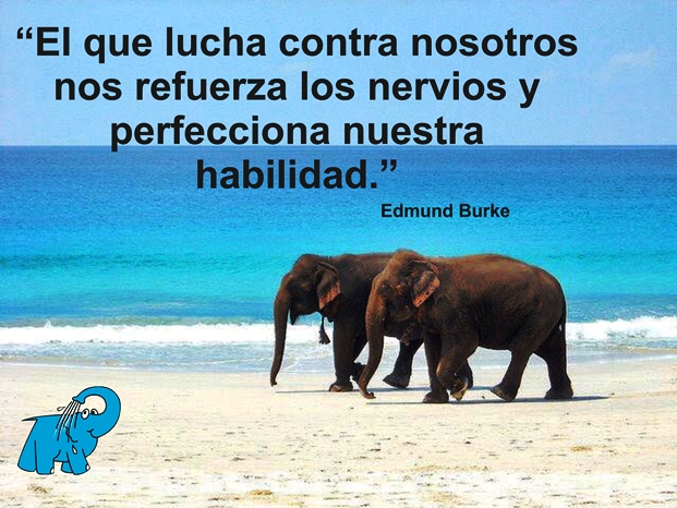 El que lucha contra nosotros nos refuerza los nervios y perfecciona nuestra habilidad.